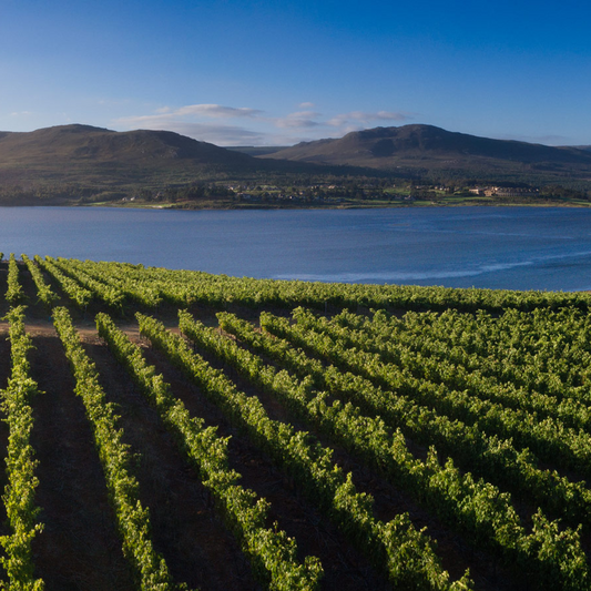 Benguela Cove Wine & Dine Event