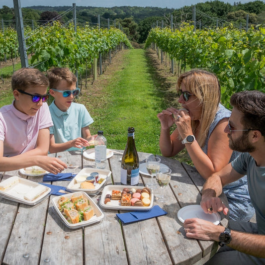 Family Vineyard Days Out in West Sussex