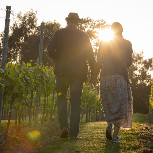 Evening Amongst the Vines at Leonardslee Wine Estate