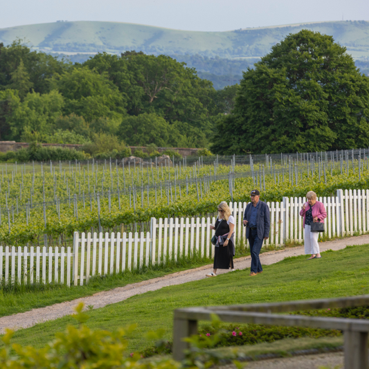 Celebrate English Wine Week at Leonardslee Wine Estate