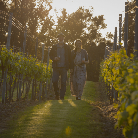 Sunset Tour and Tasting at Leonardslee Wine Estate