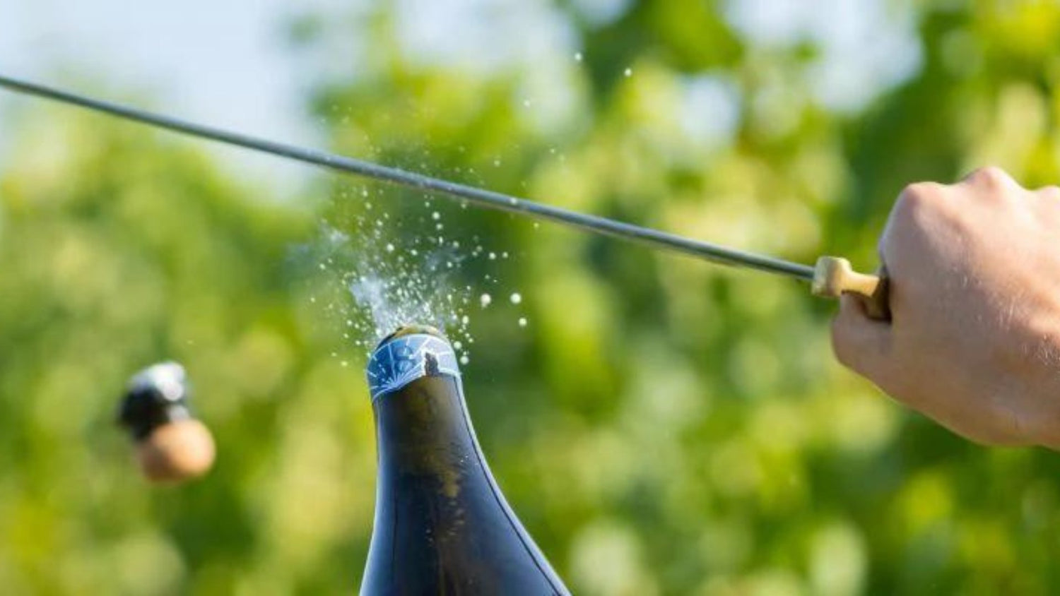 Wine Accessories