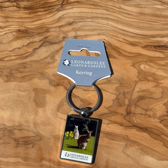 Leonardslee Wallaby Keyring