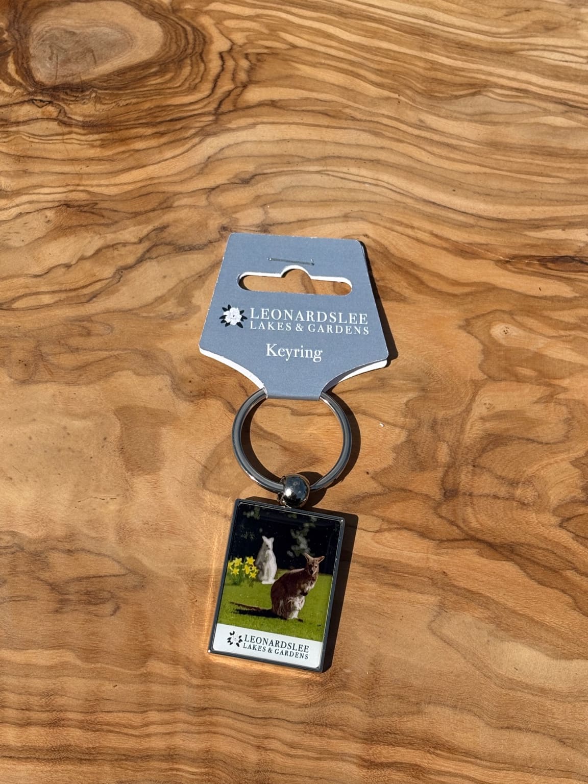 Leonardslee Wallaby Keyring