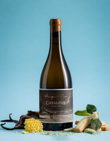 Catalina Sémillon