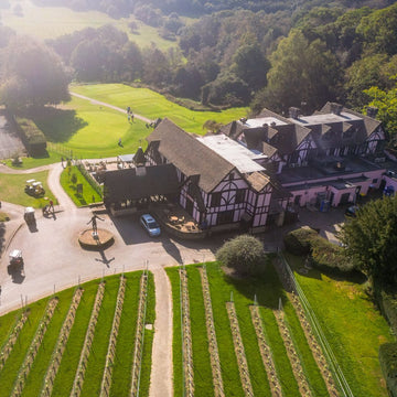 Luxury Vineyard Accommodation for Your Guests