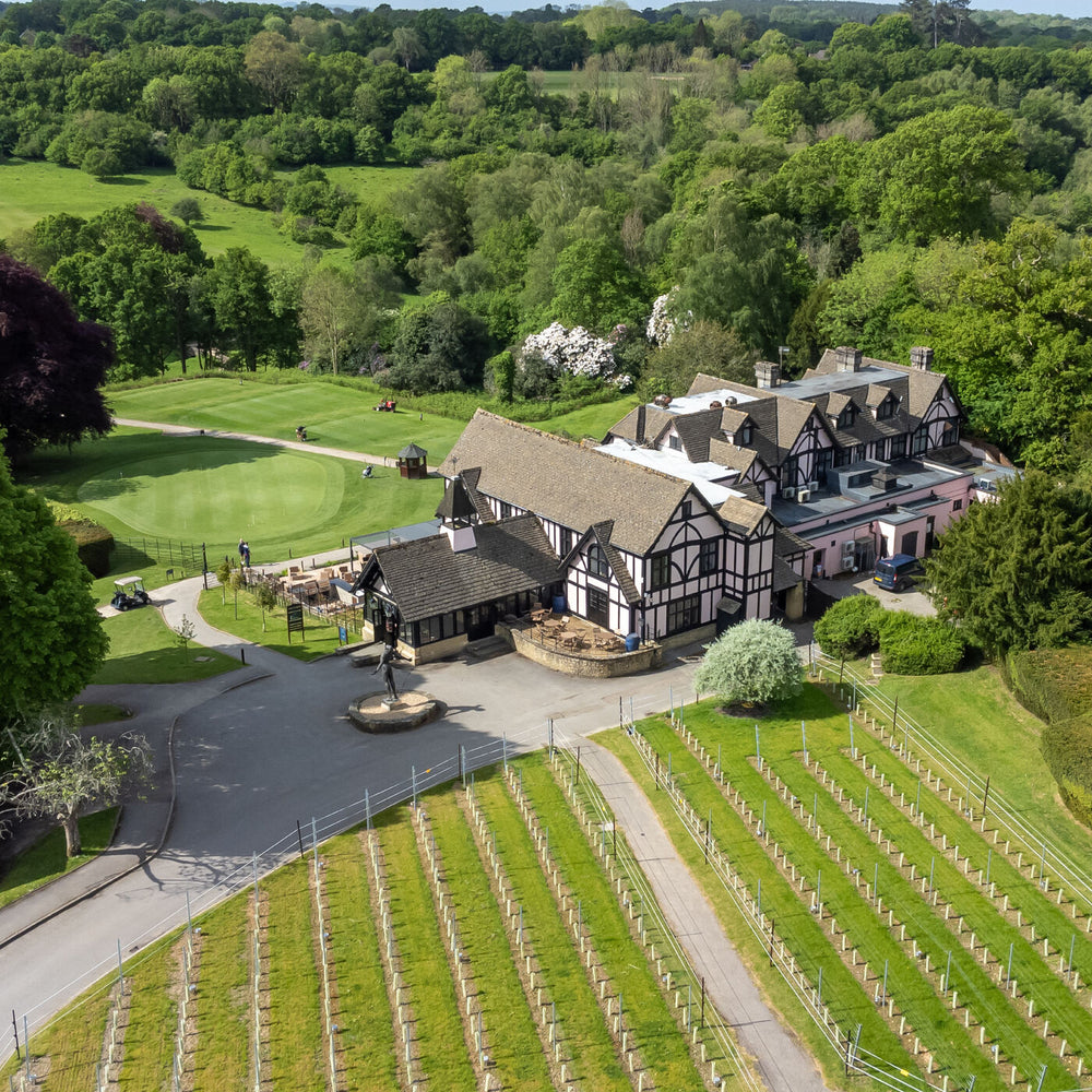 The Vineyard Hotel